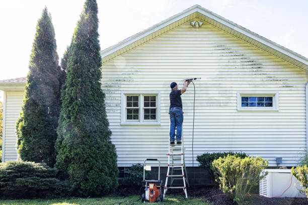 Best Exterior Home Cleaning  in Stony Point, NC